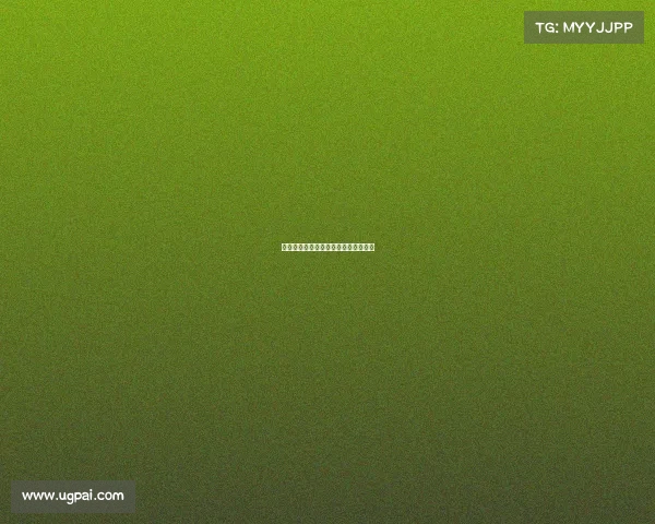 德甲豪门球队发展历程与未来展望解析 德甲豪门球队发展历程与未来展望解析