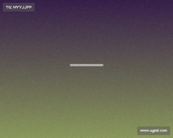 德甲豪门俱乐部的崛起与辉煌历程及其未来发展展望